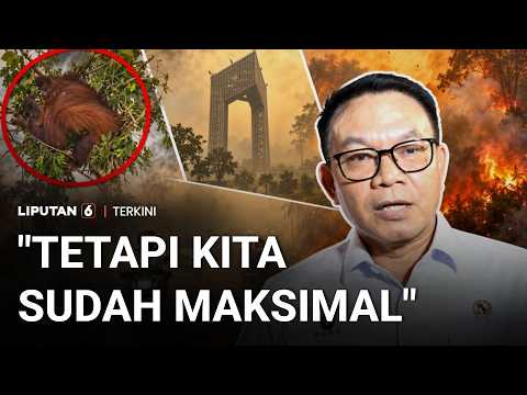 Negara Tetangga Soroti Karhutla RI, Dudung: Pemerintah Sudah Maksimal | Liputan 6