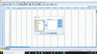 Frequency Analysis on SPSS