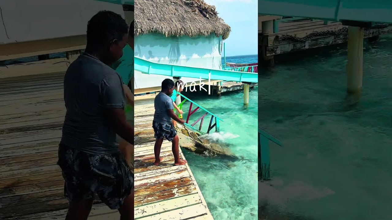 How to Get to Placencia, Belize: The 5 Best Ways in 2026