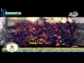 أحمد الزاير أنا عصيت 
