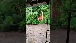 Welcome to Costa Rica???
