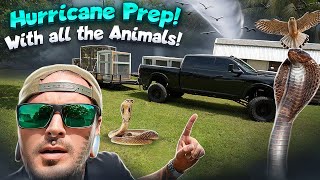 Getting Our Animals ready for a HURRICANE ! with @BlakesExoticAnimalRanch  and @joeyslayem