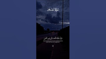 اكتب شيء تؤجر عليه ❤🌿 || القارئ هزاع البلوشي 😴🎧