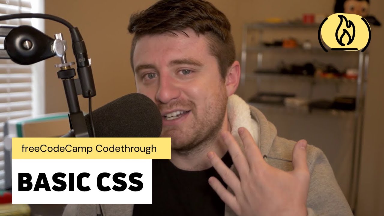 Basic CSS: freeCodeCamp Responsive Web Design Certification (Complete Code Walkthrough)