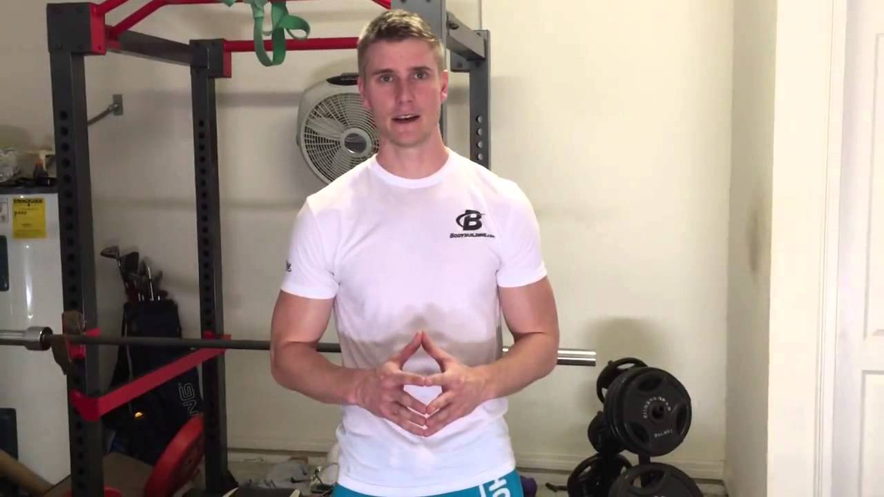 Old School New Body User Review - Will This Program Work For Me? Or Is It A Scam?