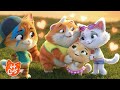 120 MIN 44 Chats Câlins Et Ronronnements Des épisodes Pleins D Amour Et D Amitié 