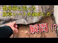 防草シートを張って数年後。シートの下は実はこうなっています…【玄関前におしゃれ花壇を造る＃１話】