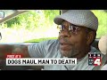 Man dies after being attacked by multiple dogs in Washington Park