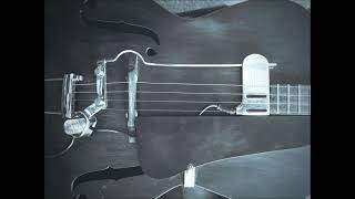 Tenor guitar tune Tuned CGDA