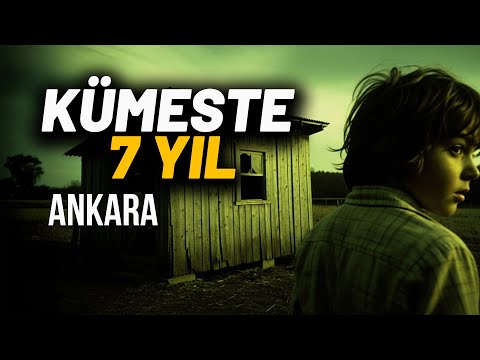 Kümeste 7 Yıl Nasıl Yaşadılar? Neden Kimse Fark Etmedi?