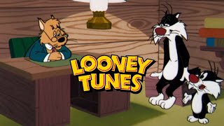 Frajola, Júnior E Canguru - Gato Psicótico 1964 - Dublagem Herbert Richers