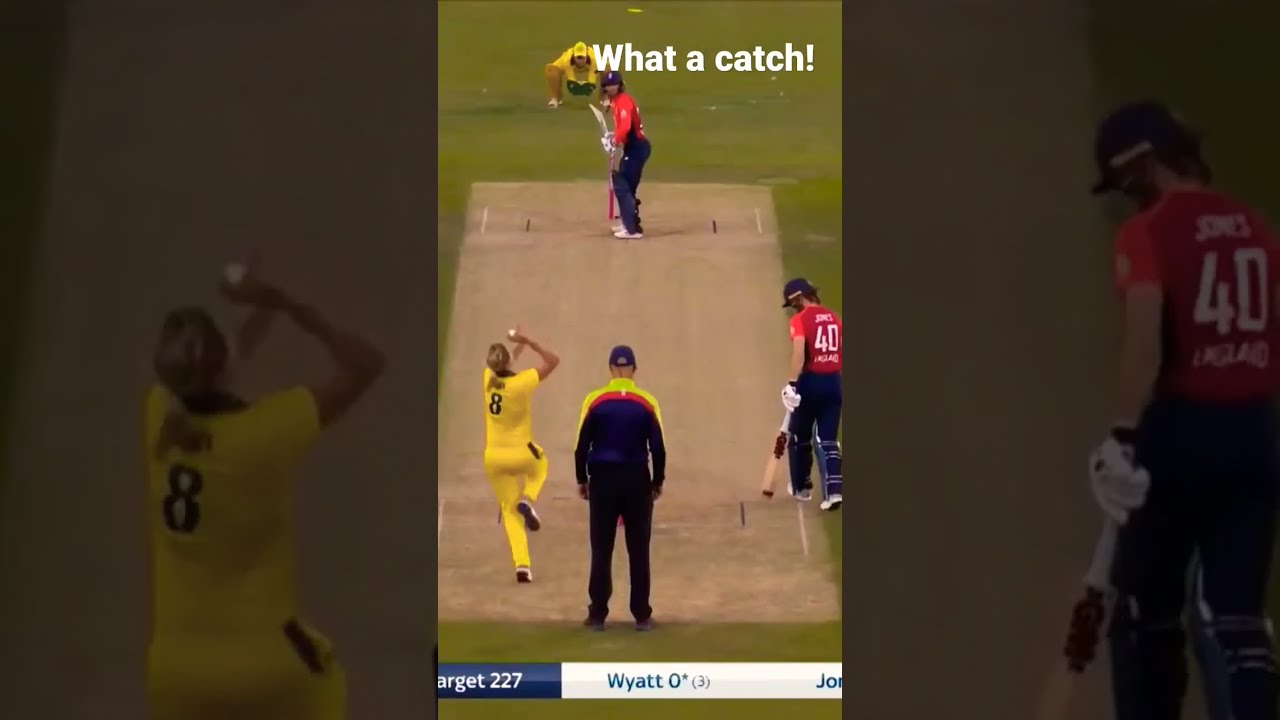 Ash Gardner takes a stunning catch