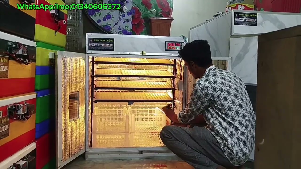 কম টাকার মাঝে অটো ইনকিউবেটর নিতে চান তাহলে যোগাযোগ করোন WHATSAPP/IMO;01340606372