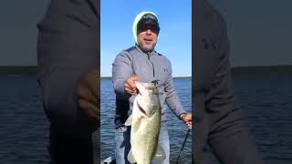 West Point Lake Georgia has big ones on a Texas Rigged Speed Worm #fishing #bassfishing #fish