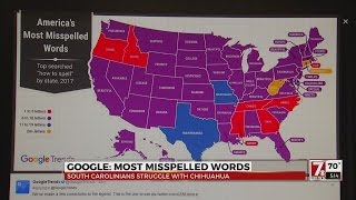 Famous Most Misspelled Words Wealth