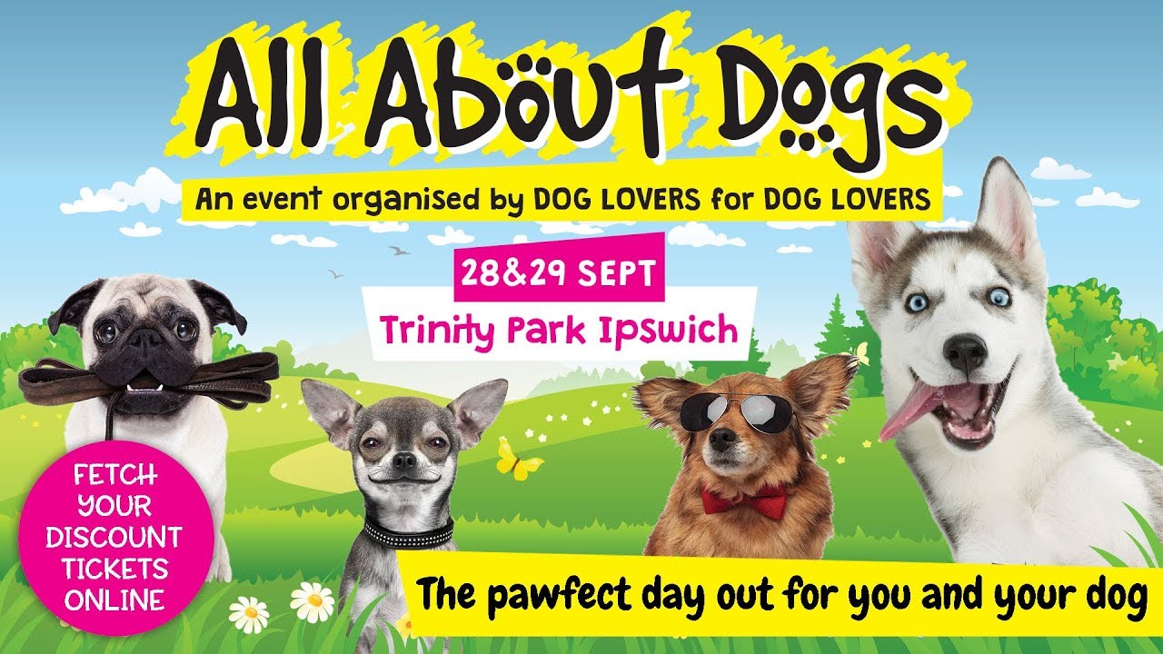 All About Dogs Show 2019 YouTube