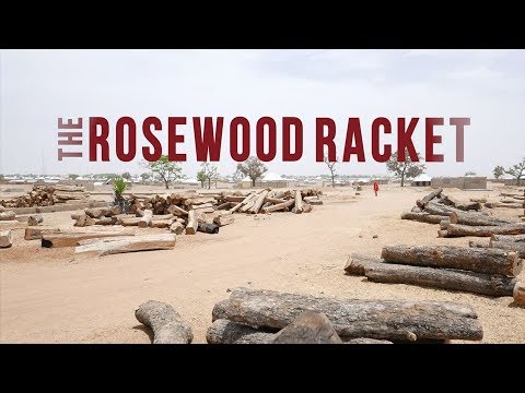 The Rosewood Racket