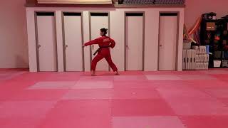 White Belt Pattern - Basic Poomsae