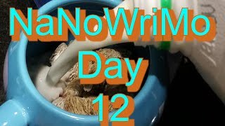 NaNoWriMo Vlog: Day 12
