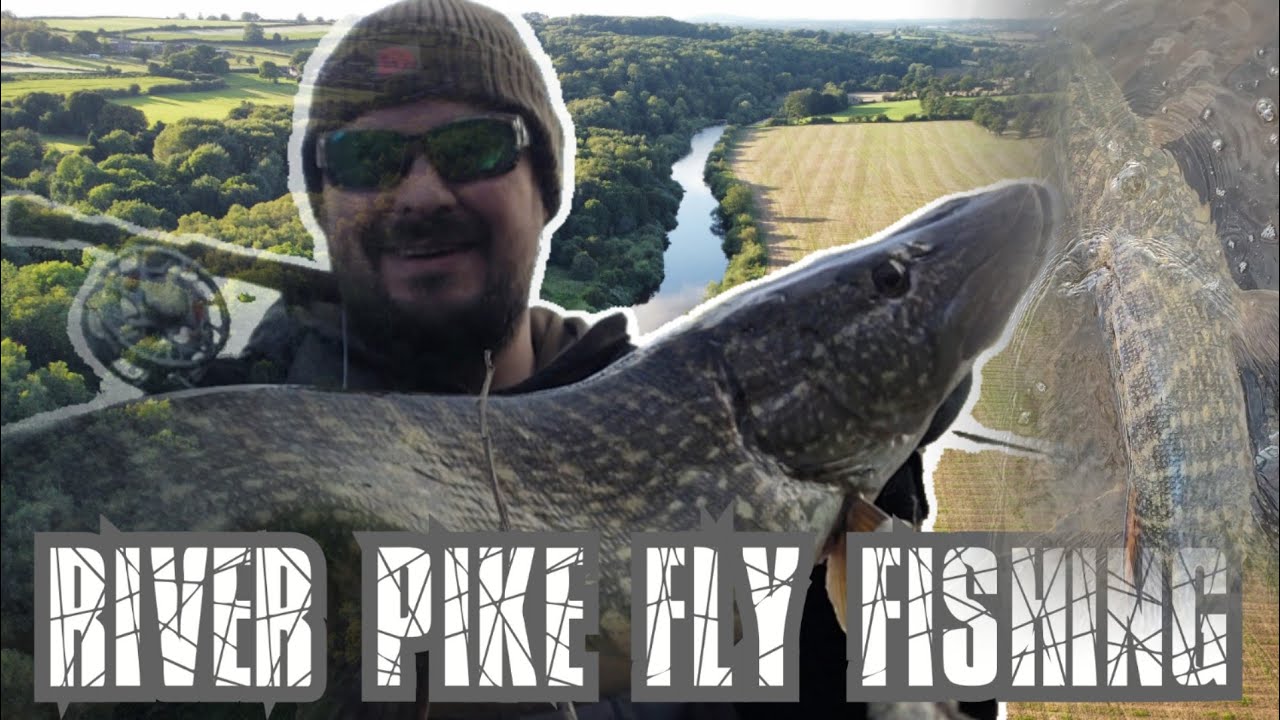 I Had My Biggest River PIKE ON THE FLY ROD!! Pike Fly Fishing pikeflyfishing YouTube