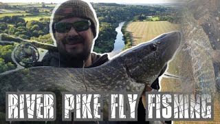 I Had My Biggest River PIKE ON THE FLY ROD!! Pike Fly Fishing  #pikeflyfishing