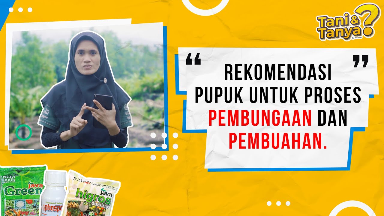 Rekomendasi Pupuk Untuk Pembungaan & Pembuahan - TANI & TANYA?