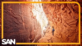 National Park staffing cuts cause concern ahead of the busy summer season