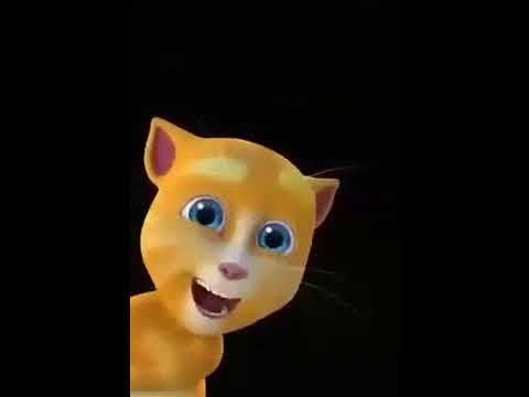 يا طيور اللي طاروا