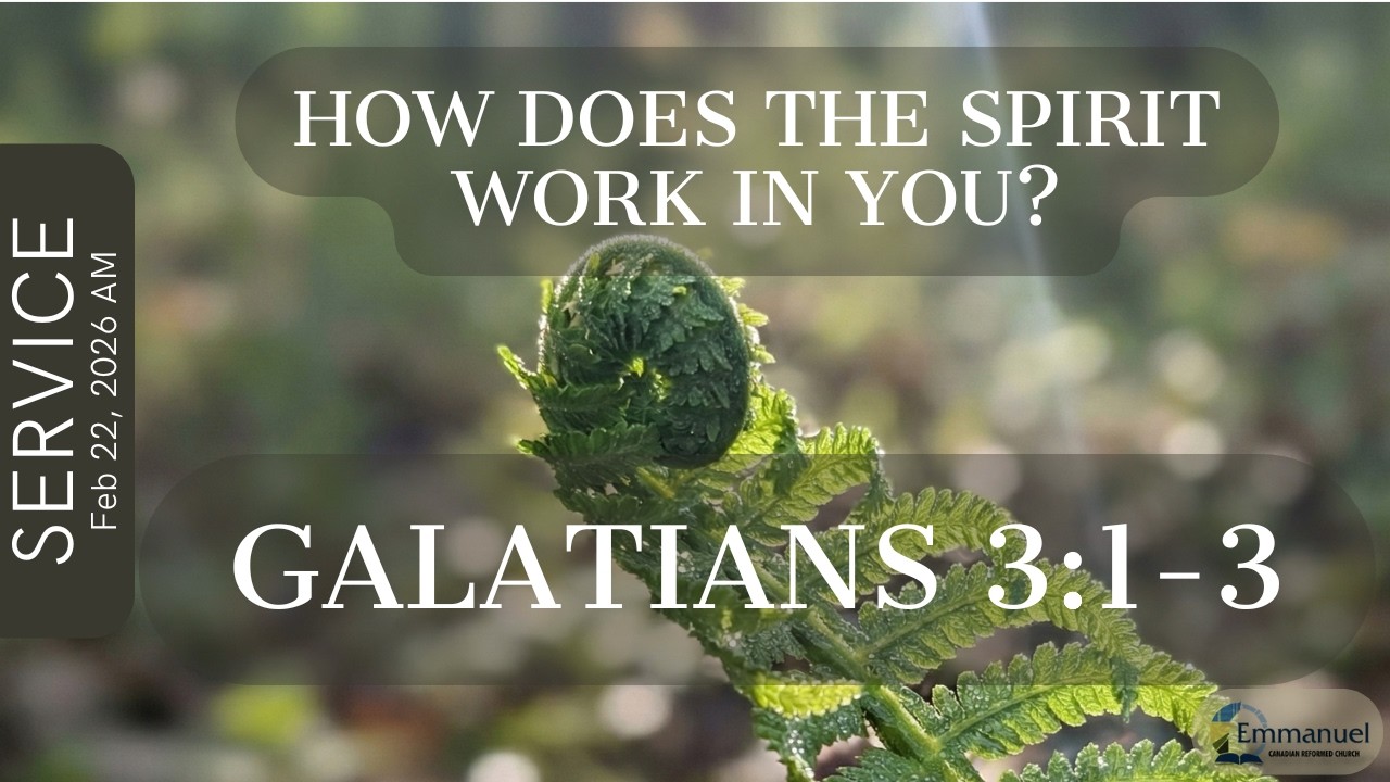 How does the Spirit work in you?