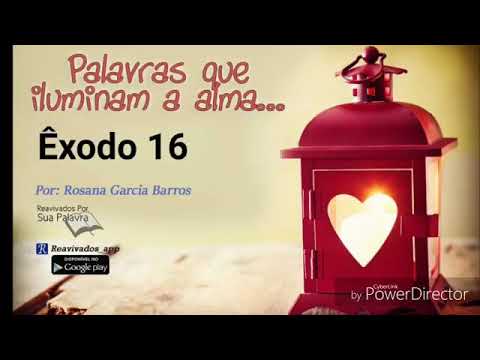 Êxodo 16 - Rosana