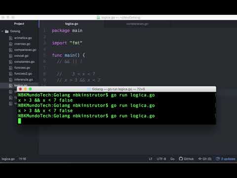 0010-17 Operadores de Lógica (E Ou e Não Lógico) (Aula de Go / Golang && || !)