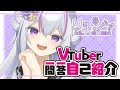 【自己紹介】vtuber一問一答自己紹介 【リュシー/ \#新人vtuber 】