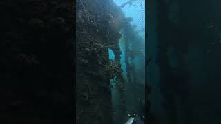 Japan ship wreck 1944 #palawan #philippines #diving #travel #scubadiving