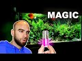 *SECRET* TO MY PLANT SUCCESS?? WATER TEST RESULTS || MD FISH TANKS