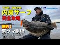 ヒラメ・マゴチ爆釣!内房サーフ完全攻略 悪クマ劇場(金杉高志)