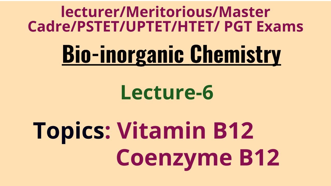 About Vitamin B-12