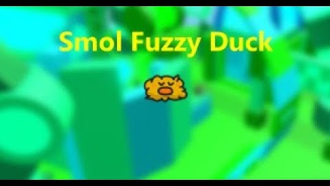 How to get Smol Fuzzy Duck - Find The Ducks
