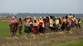 ООН призывает Мьянму прекратить преследование мусульман-рохинджа (новости)