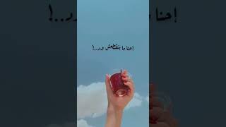 اللي سابنا يرد بابنا و نشرب الشاي بعده عادب