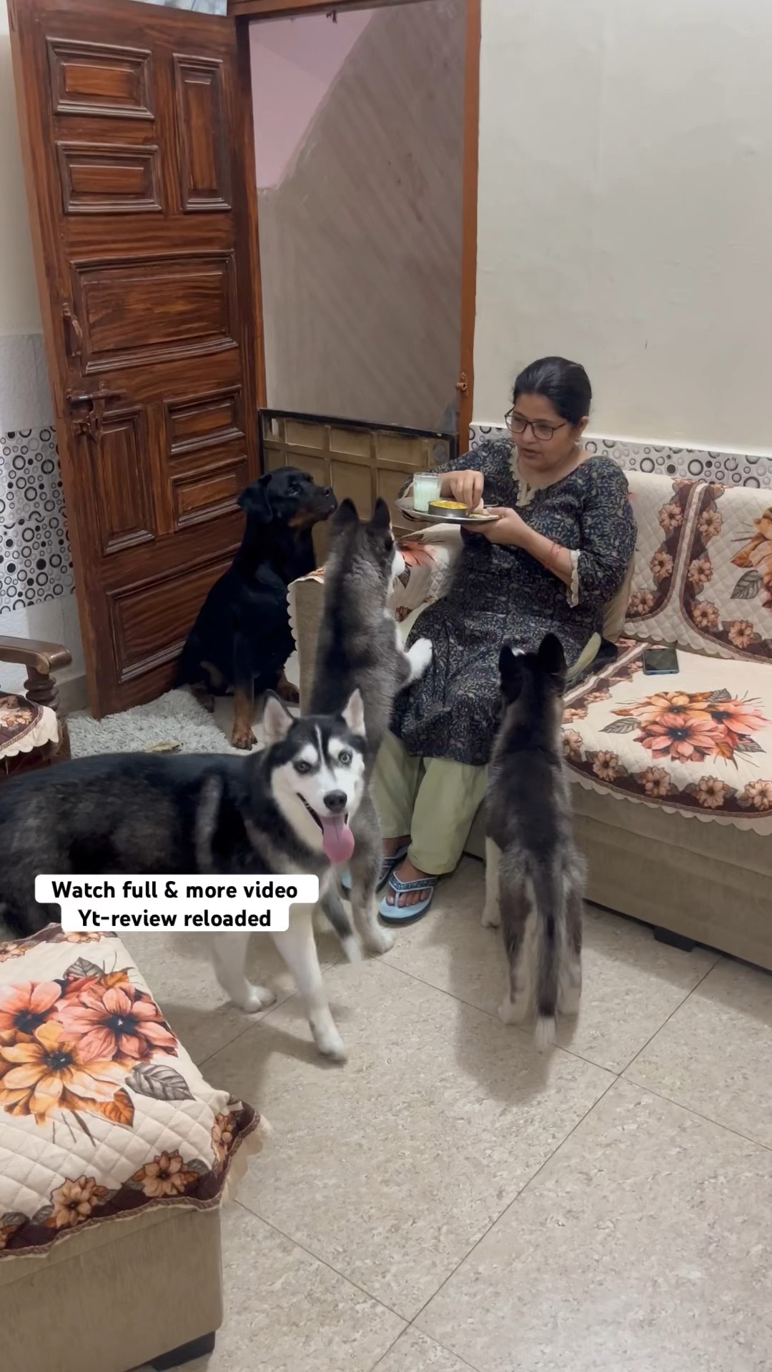 How To Stop Husky Puppy hindkasitara YouTube How To Stop Husky Puppy hindkasitara YouTube