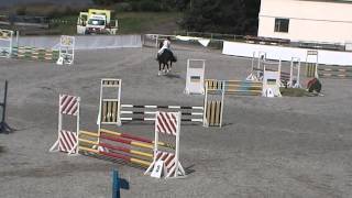 140809 Юлия Коковская команда IIC & Mobad 06 80см Flying Horse Cup 3 этап