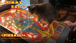 Kimmy Kat vs Pinball - Epic Showdown of the Universe