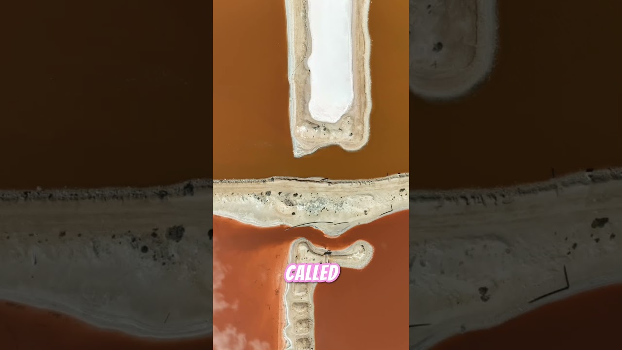 This Lake is PINK?! Here’s the CRAZY Science Behind It! 🎨 