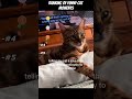 Various interesting rankings#cat #orangecat #funny#shorts