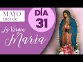 ORACIÓN DIARIA A LA VIRGEN MARÍA//DÍA 31//DOMINGO 31 de mayo de 2020// Mayo mes de la Virgen María