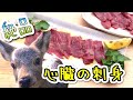 獲りたて鹿の心臓を刺し身で食べる！田舎暮らし猟師の日常