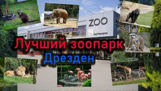 Лучший зоопарк в Дрездене 2023(Германия)