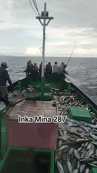 inka Mina 287 fish Hunter