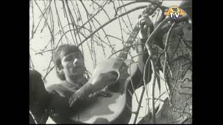 Crispian St Peters - But she's untrue ( Original Video On Location In A Tree1966 )