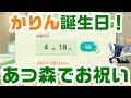 祝!かりん誕生日!あつ森でお祝い!パペットマペットあつまれどうぶつの森生放送🐮🐸